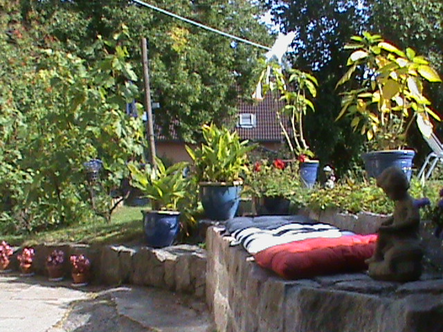 DSC00688.JPG