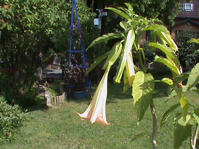 DSC00689.JPG