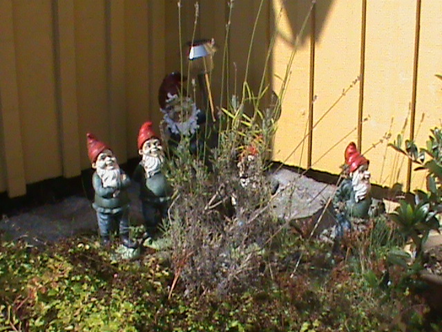 DSC00690.JPG