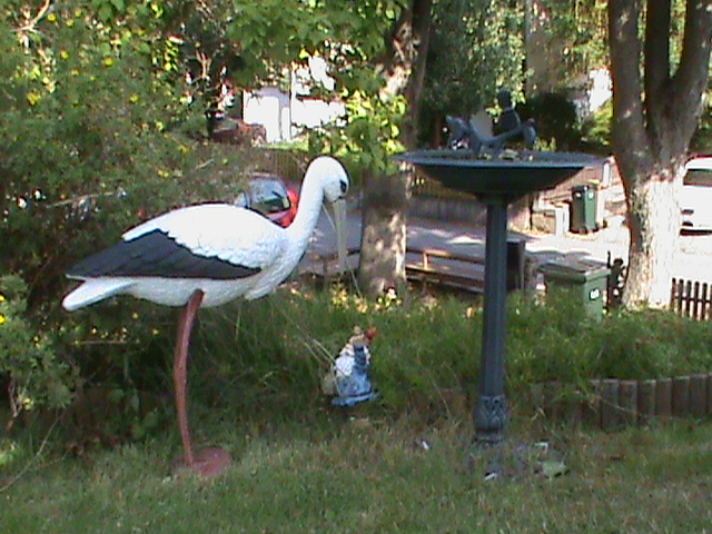 DSC00694.JPG