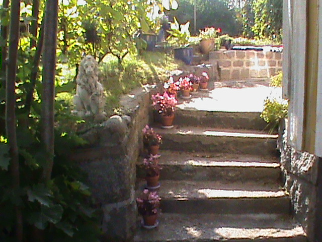 DSC00695.JPG