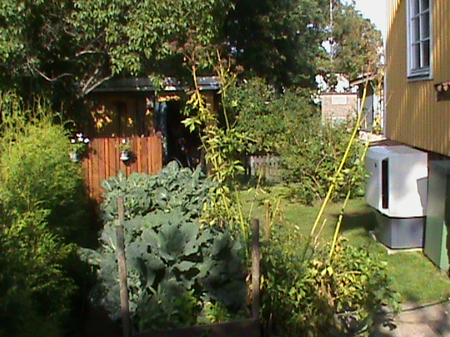 DSC00699.JPG