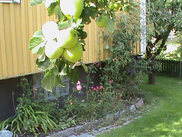 DSC00704.JPG