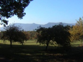 011002a.jpg
