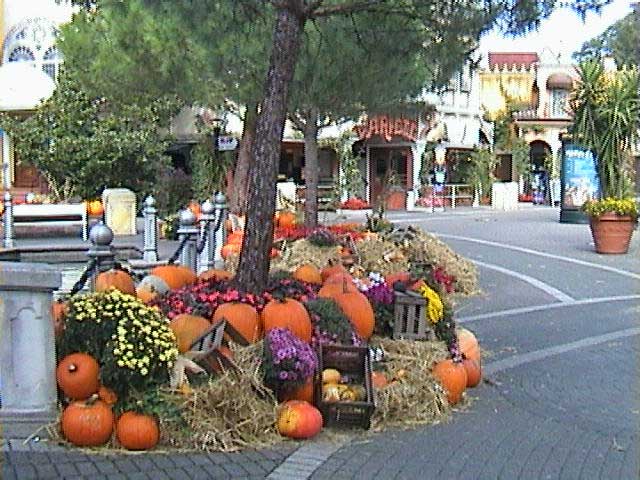050930f.jpg