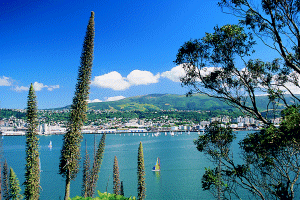 Dunedin hamnen
