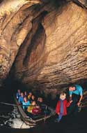 Glow worm cave