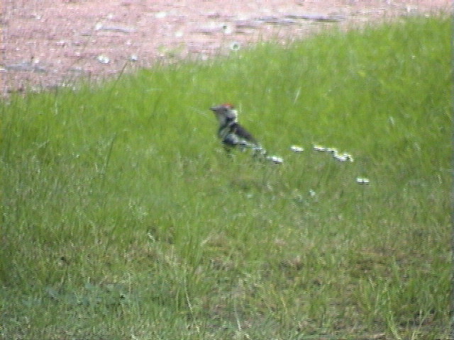 050622.jpg