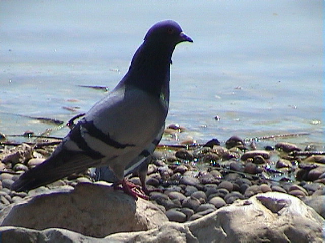 050623b.jpg